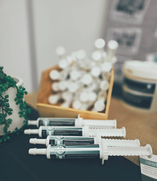 Soothe & Support Equine Calming Paste