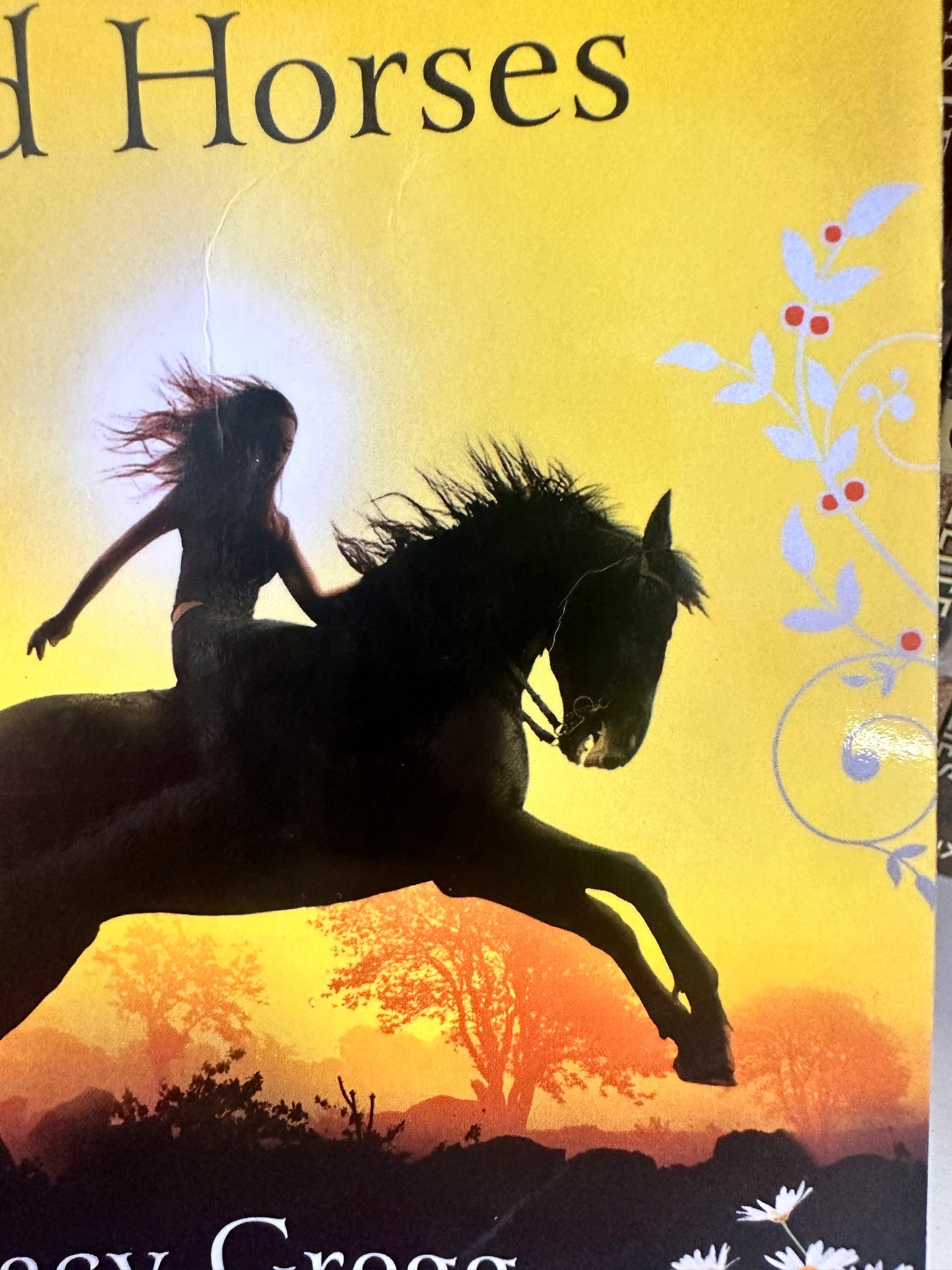 Pony Club Secrets; Destiny & the Wild Horses preloved