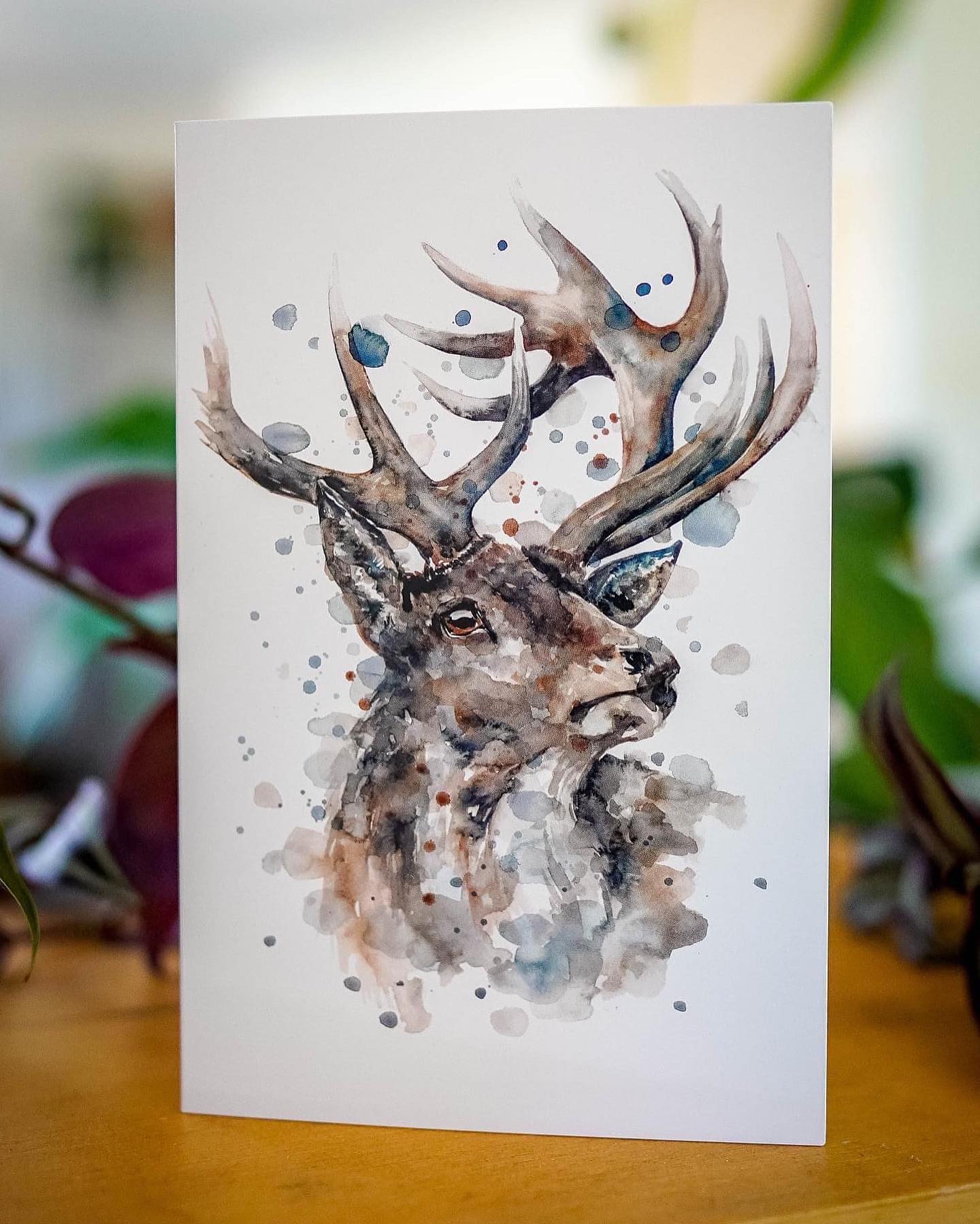 Stunning Greeting Card Pack from The Art of Michelle Clarke