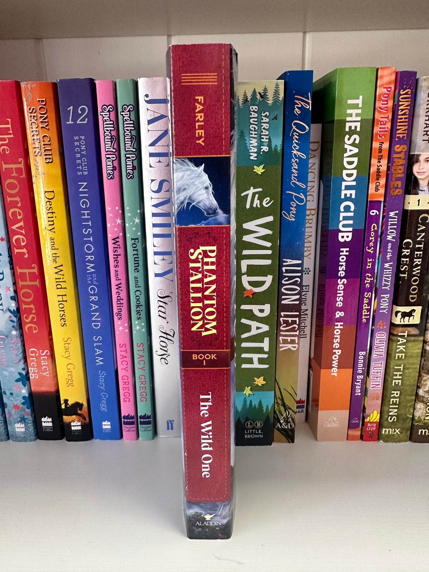 Phantom Stallion Book 1 The Wild One Pre-loved