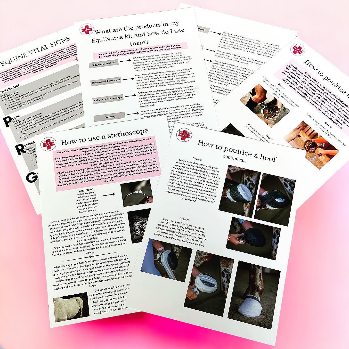 Equinurse Equine "Essentials" First Aid Kit