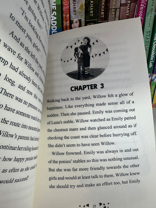 Sunshine Stable; Willow and the Whizzy Pony