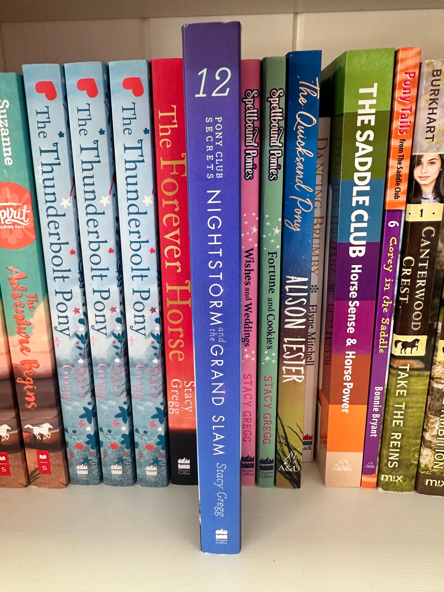 Pony Club Secrets; Nightstorm and the grand slam