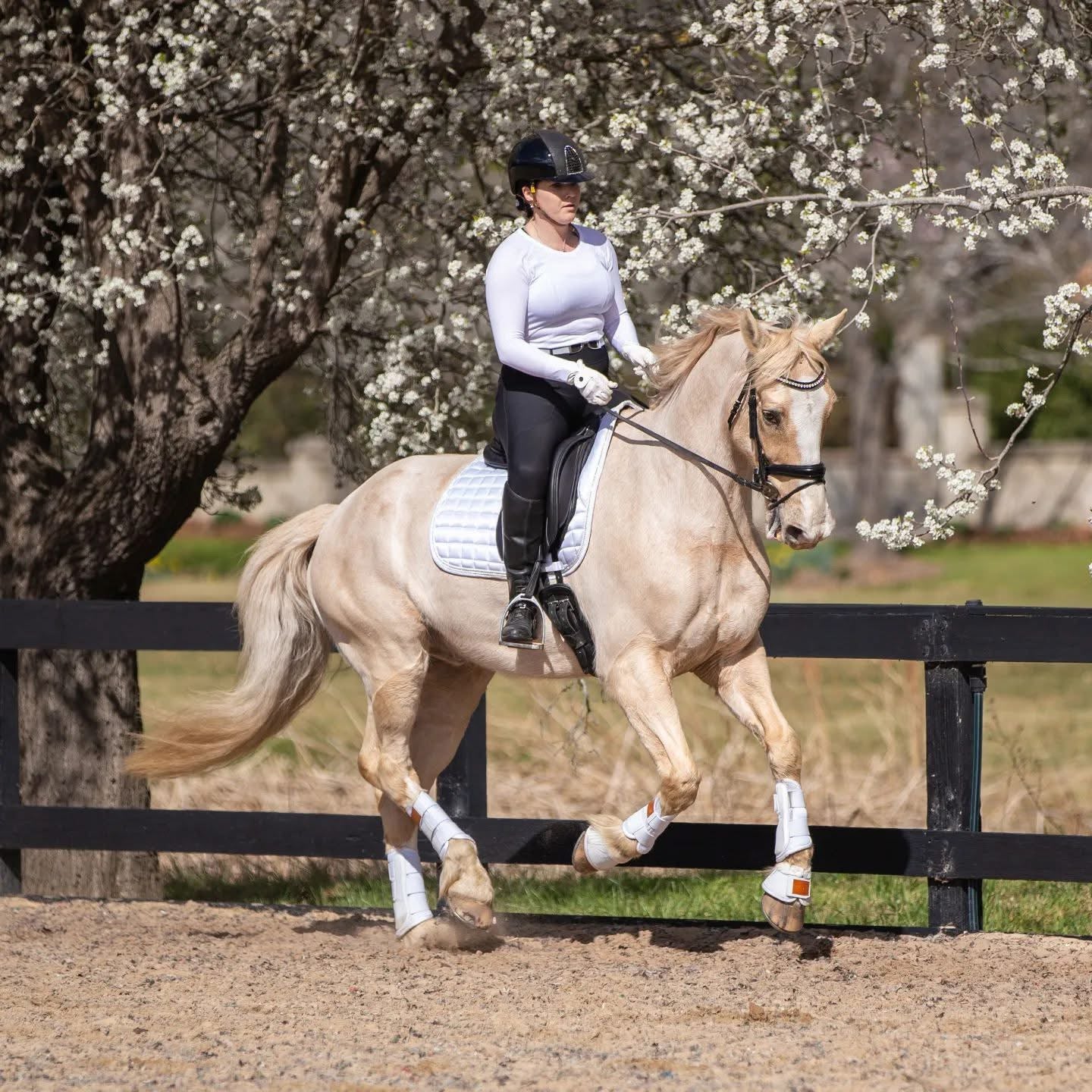 Lady Godiva Equestrian Pony Dressage Collection Fly Bonnet