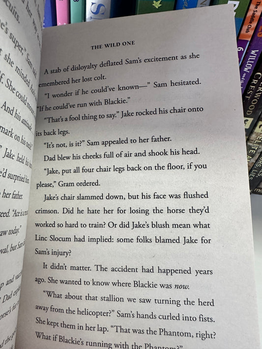 Phantom Stallion Book 1 The Wild One Pre-loved