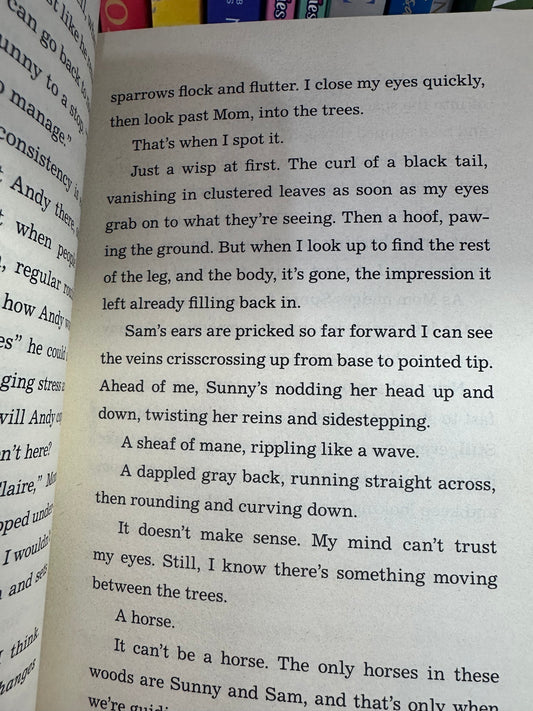 The Wild Path by Sarah R Baughman