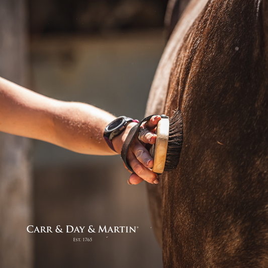 CDM Canter Coat Shine 500ml