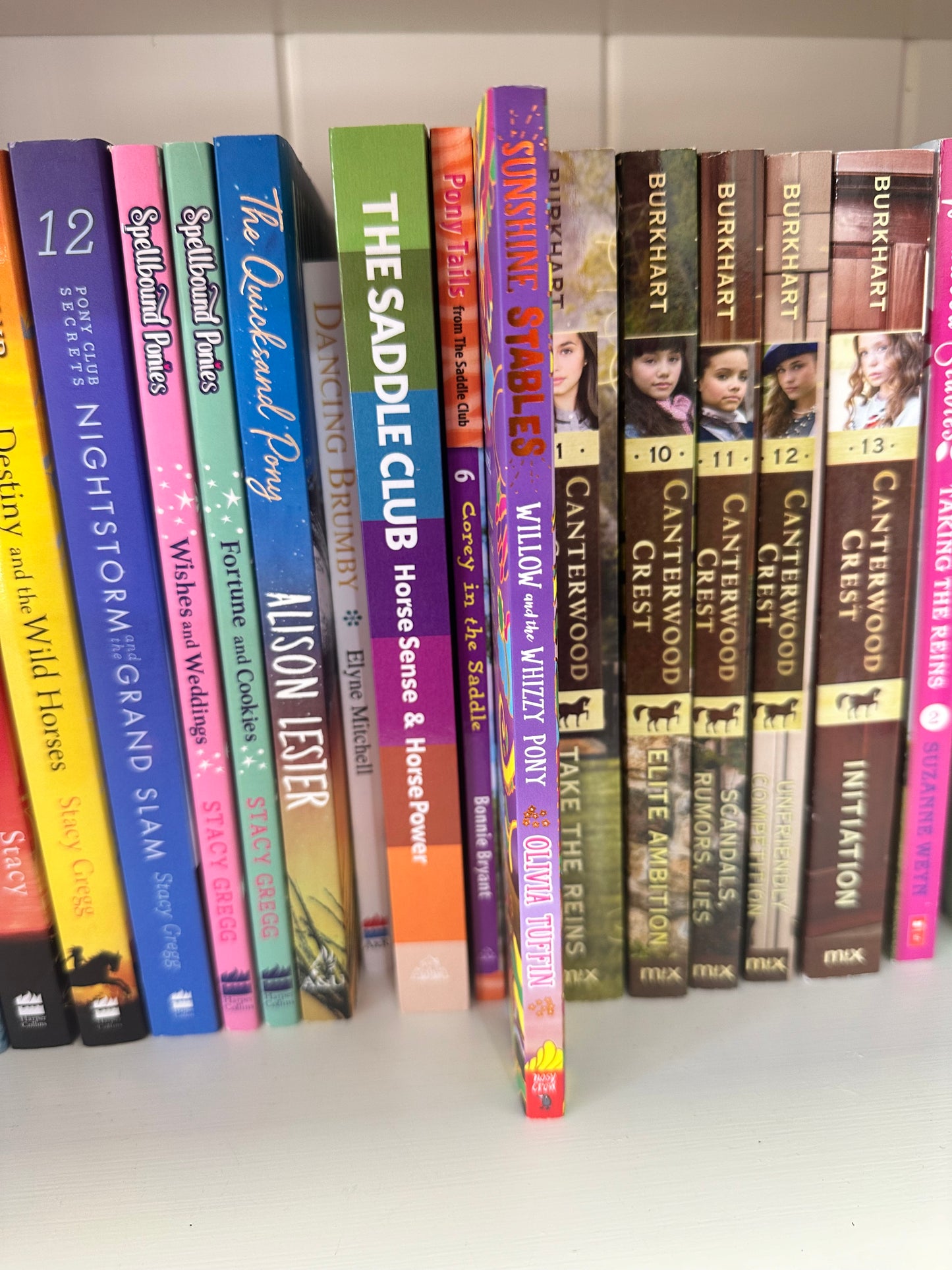 Sunshine Stable; Willow and the Whizzy Pony