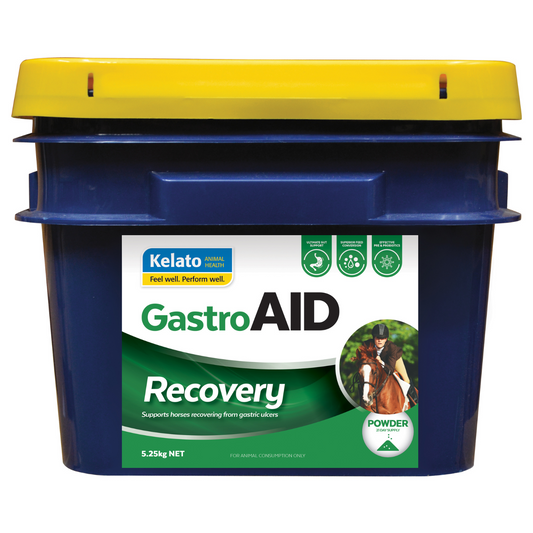 Kelato Gastroaid Recovery
