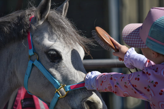 Hairy Pony Mini Mane & Tail Brush