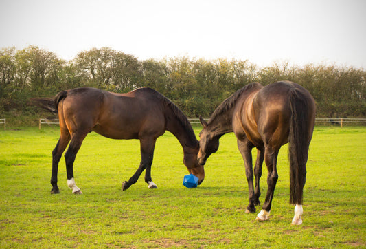 Red Gorilla Drip Feed Horse Ball