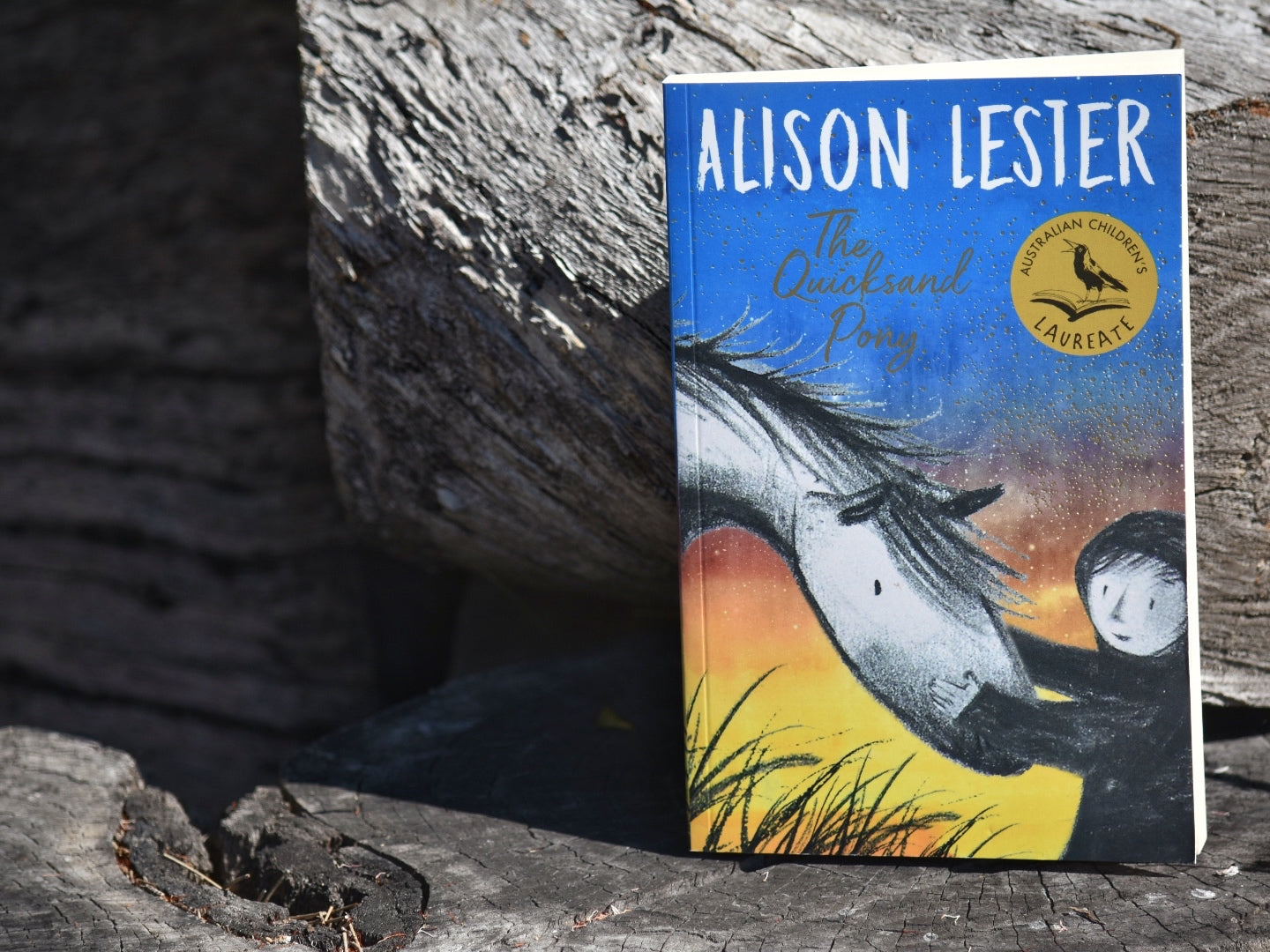 The Quicksand Pony by Alison Lester