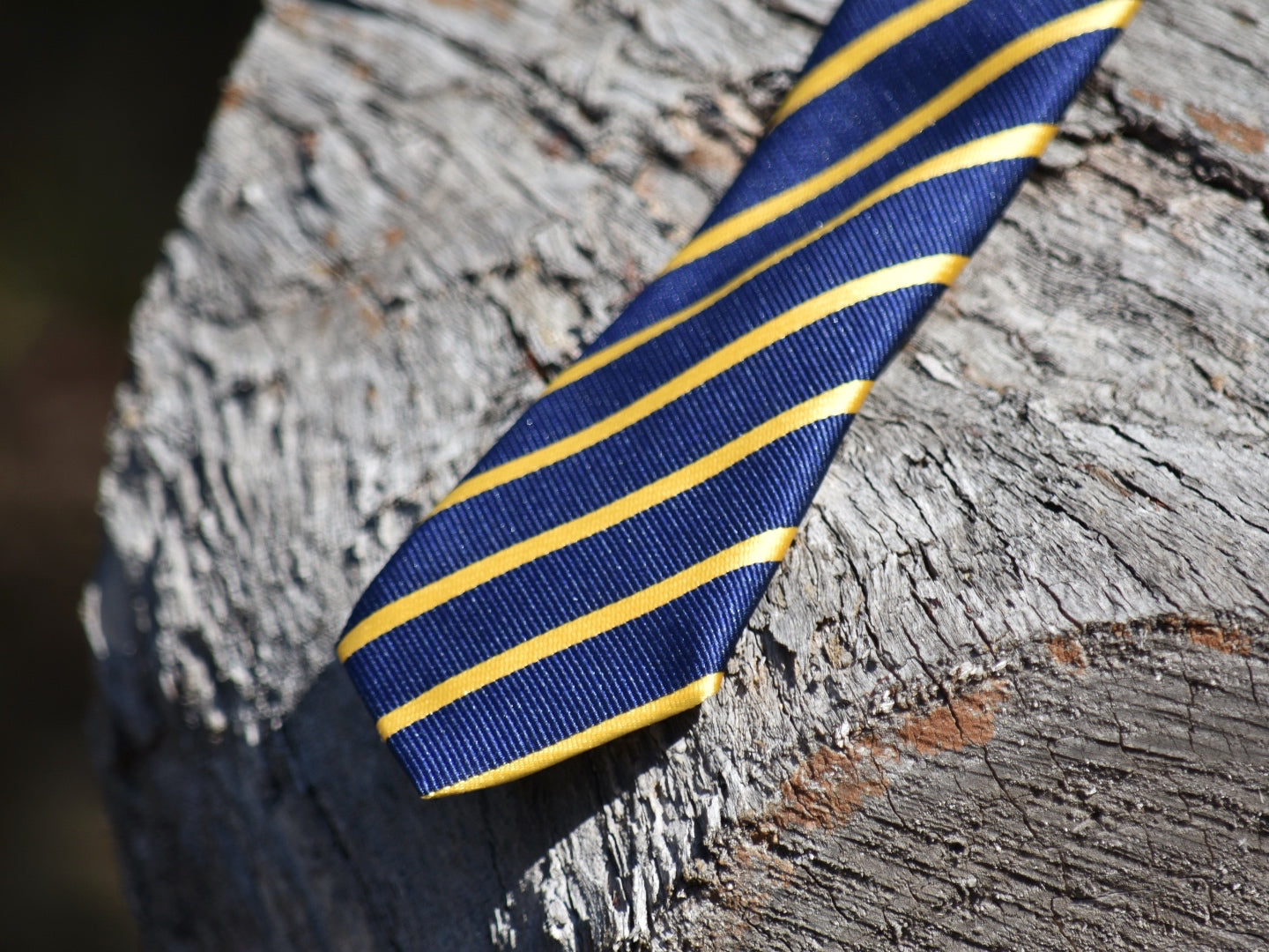 Youth Navy & Gold Pre-tied Neck Tie