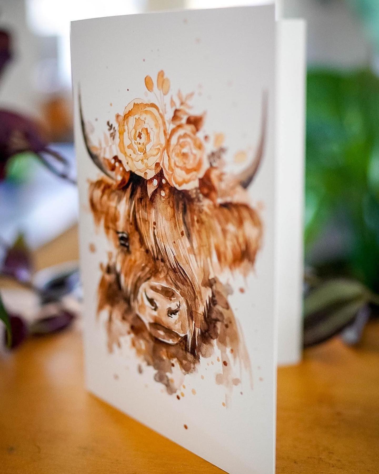 Stunning Greeting Card Pack from The Art of Michelle Clarke