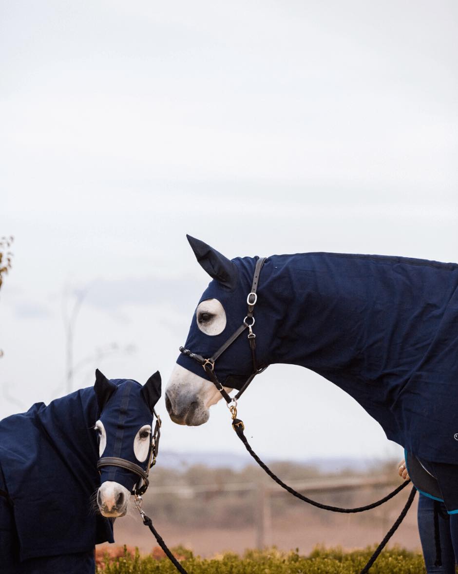 Earlwood Equine Zip Up Hoods with Ears