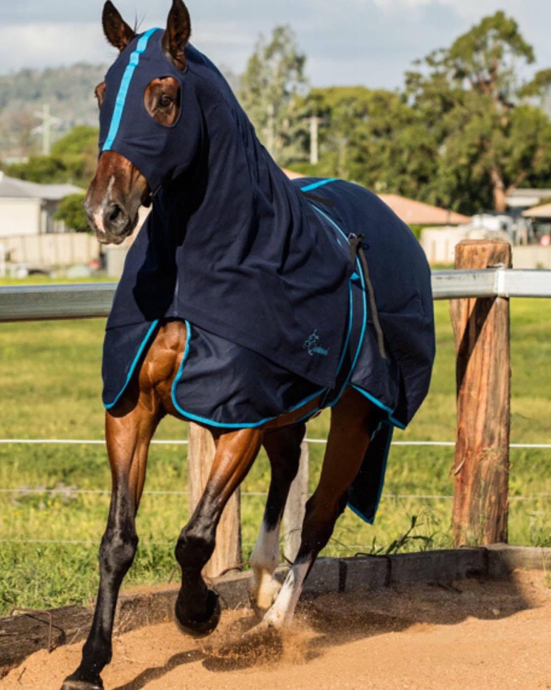 Earlwood Equine Zip Up Horse Hoods