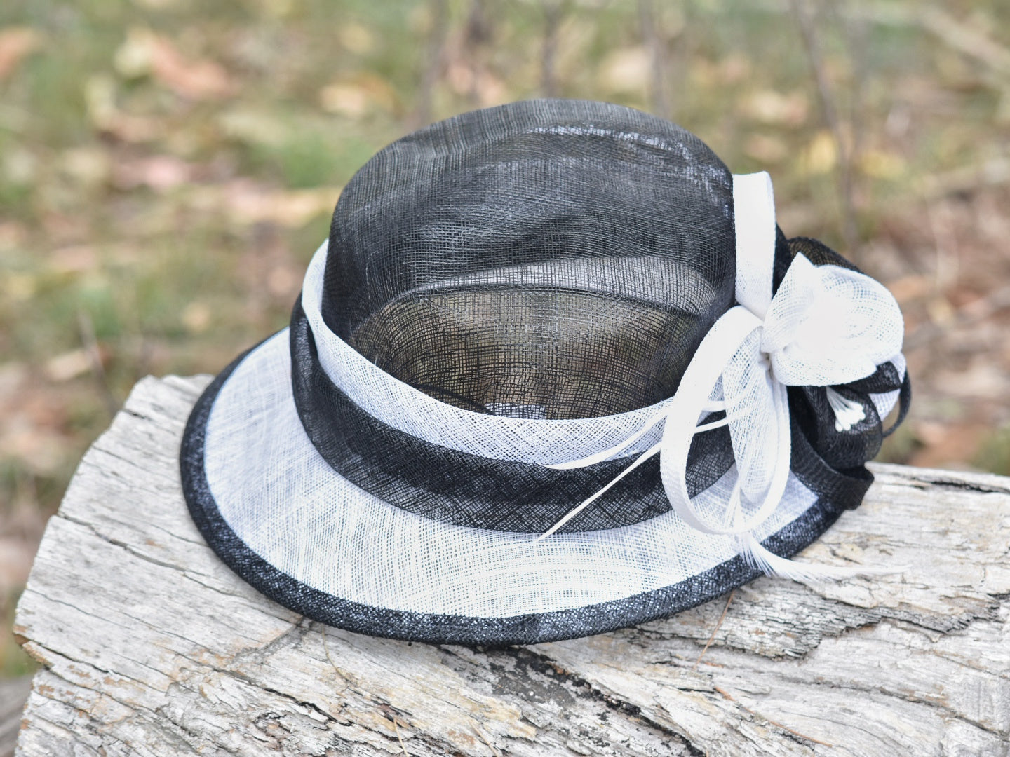 Black & White Small Brim Sinamay Hat