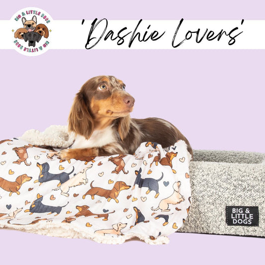 Dashie Lovers Plush Pet Blanket
