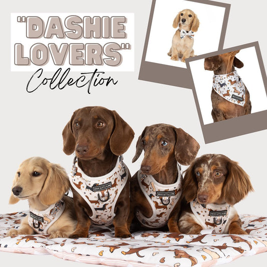 Dashie Lovers Dog Leash