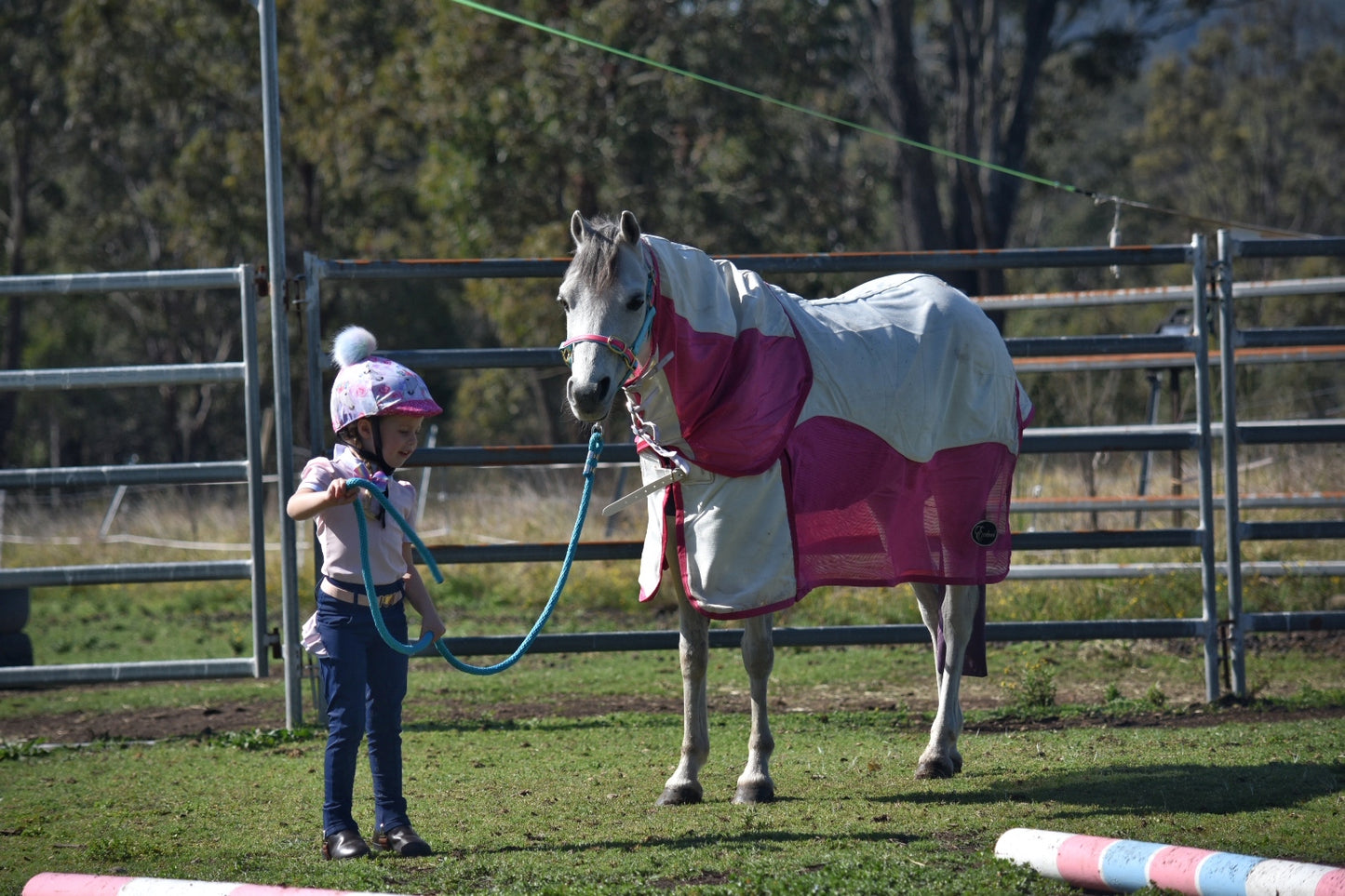 Earlwood Equine Ripstop Mesh Combo