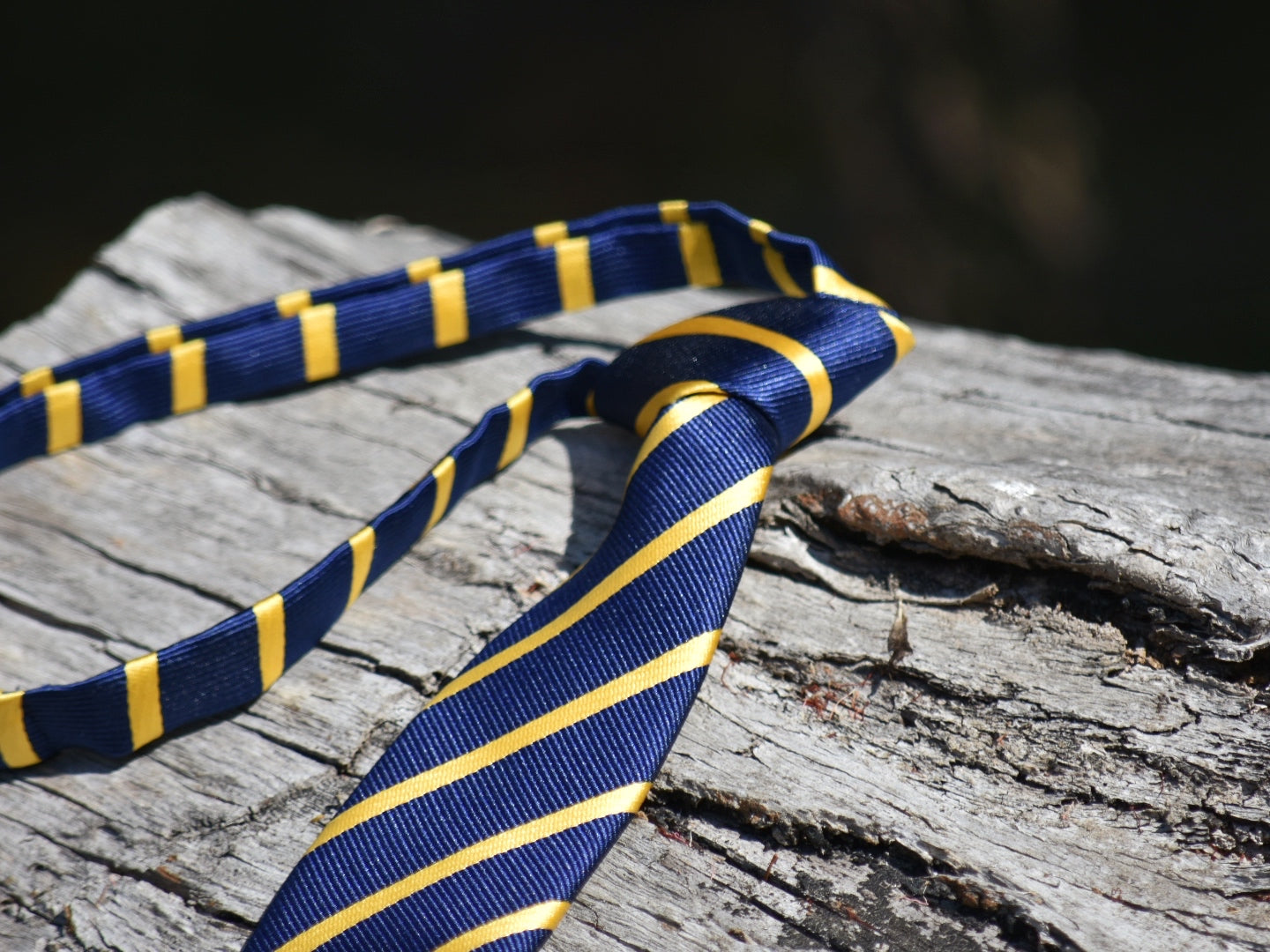 Youth Navy & Gold Pre-tied Neck Tie