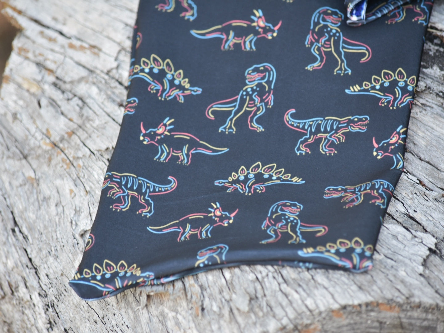 Dinosaur Stomp Tie-in Tail Bag