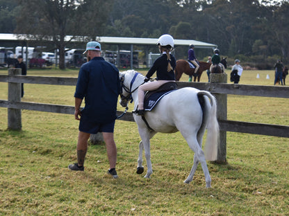 Crown Equestrian Kids Competition Tights