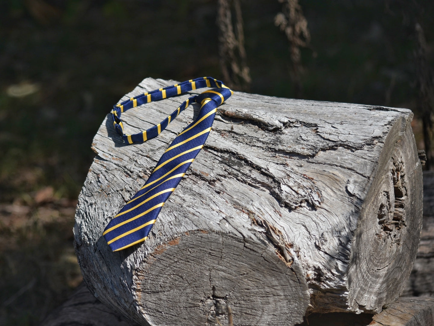 Youth Navy & Gold Pre-tied Neck Tie