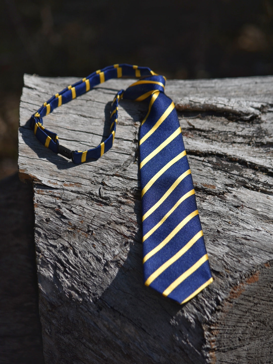 Youth Navy & Gold Pre-tied Neck Tie