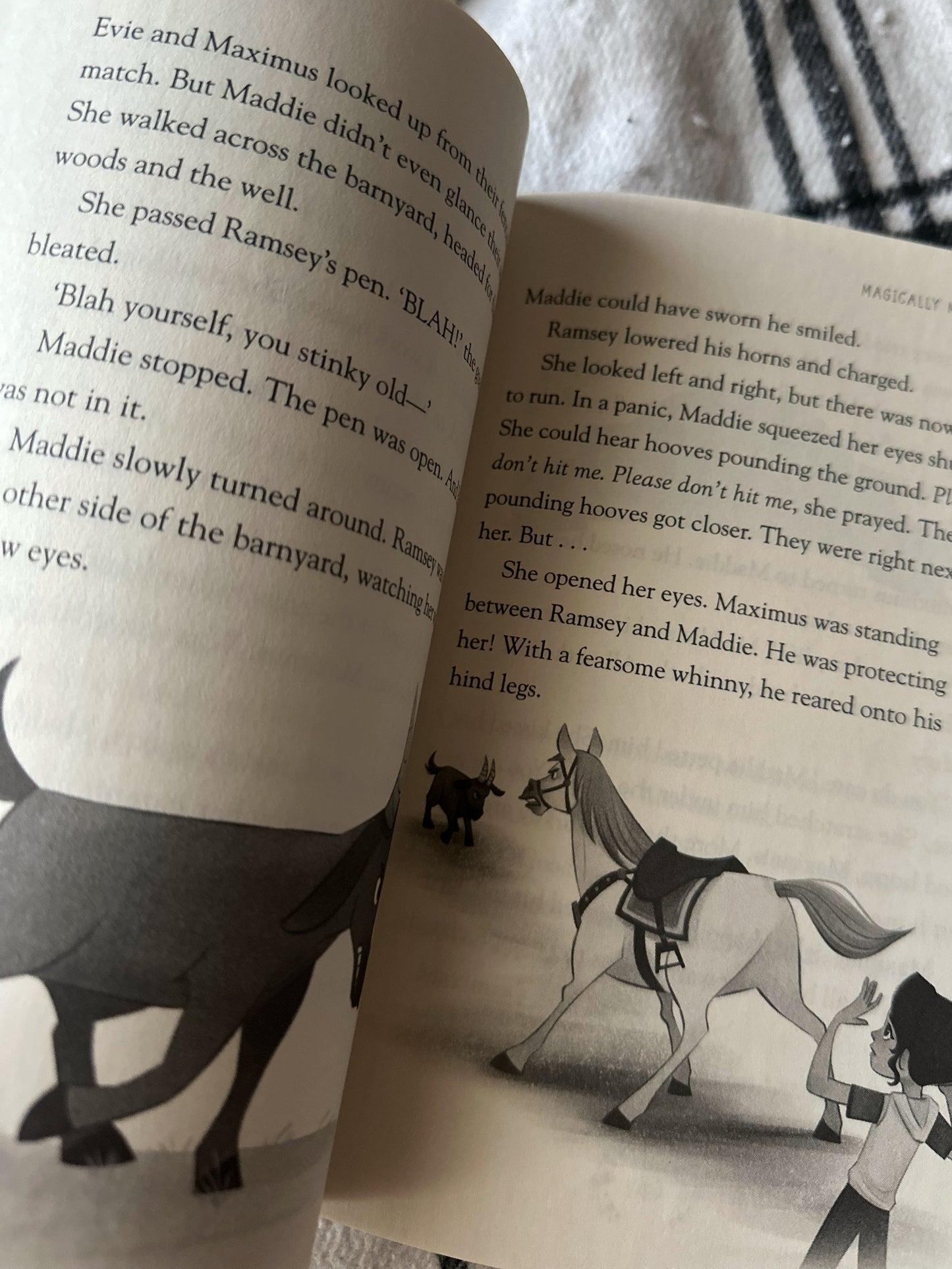 Horsetail Hollow Book 1: Magically Maximus