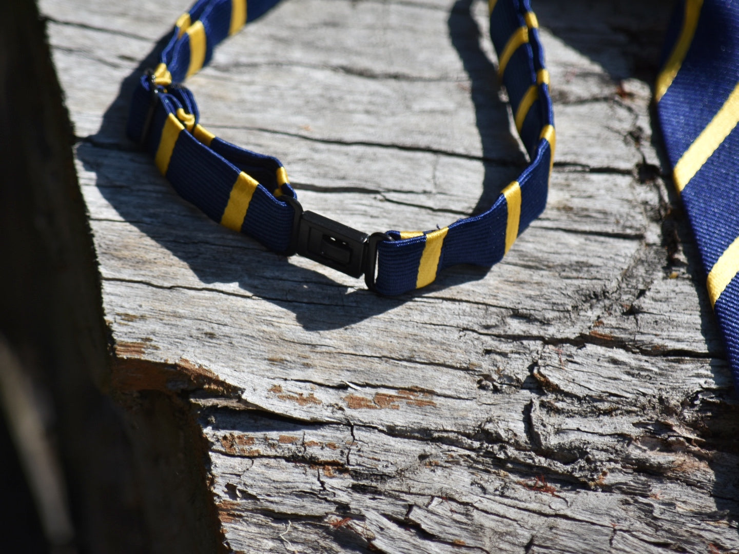 Youth Navy & Gold Pre-tied Neck Tie