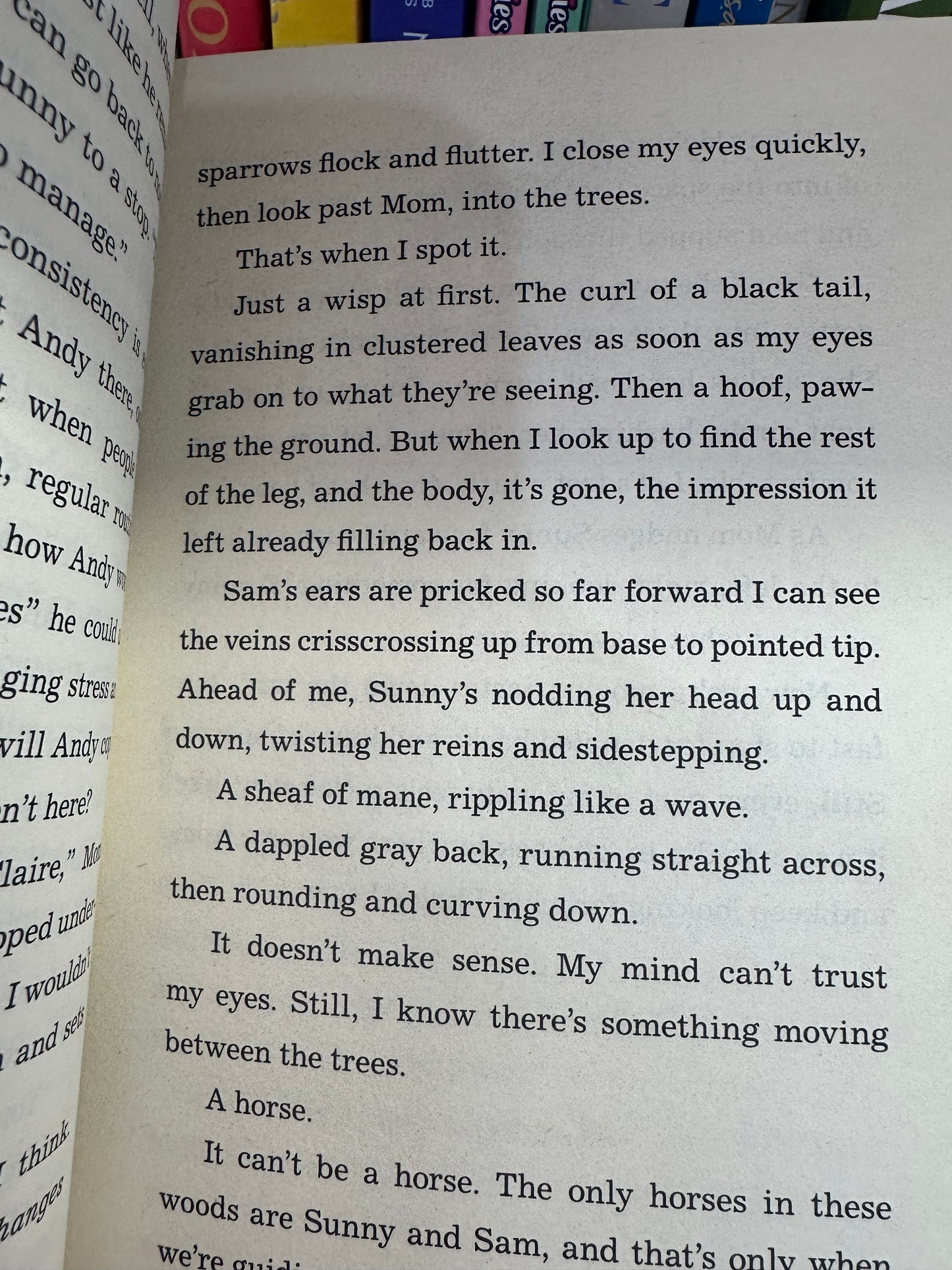 The Wild Path by Sarah R Baughman