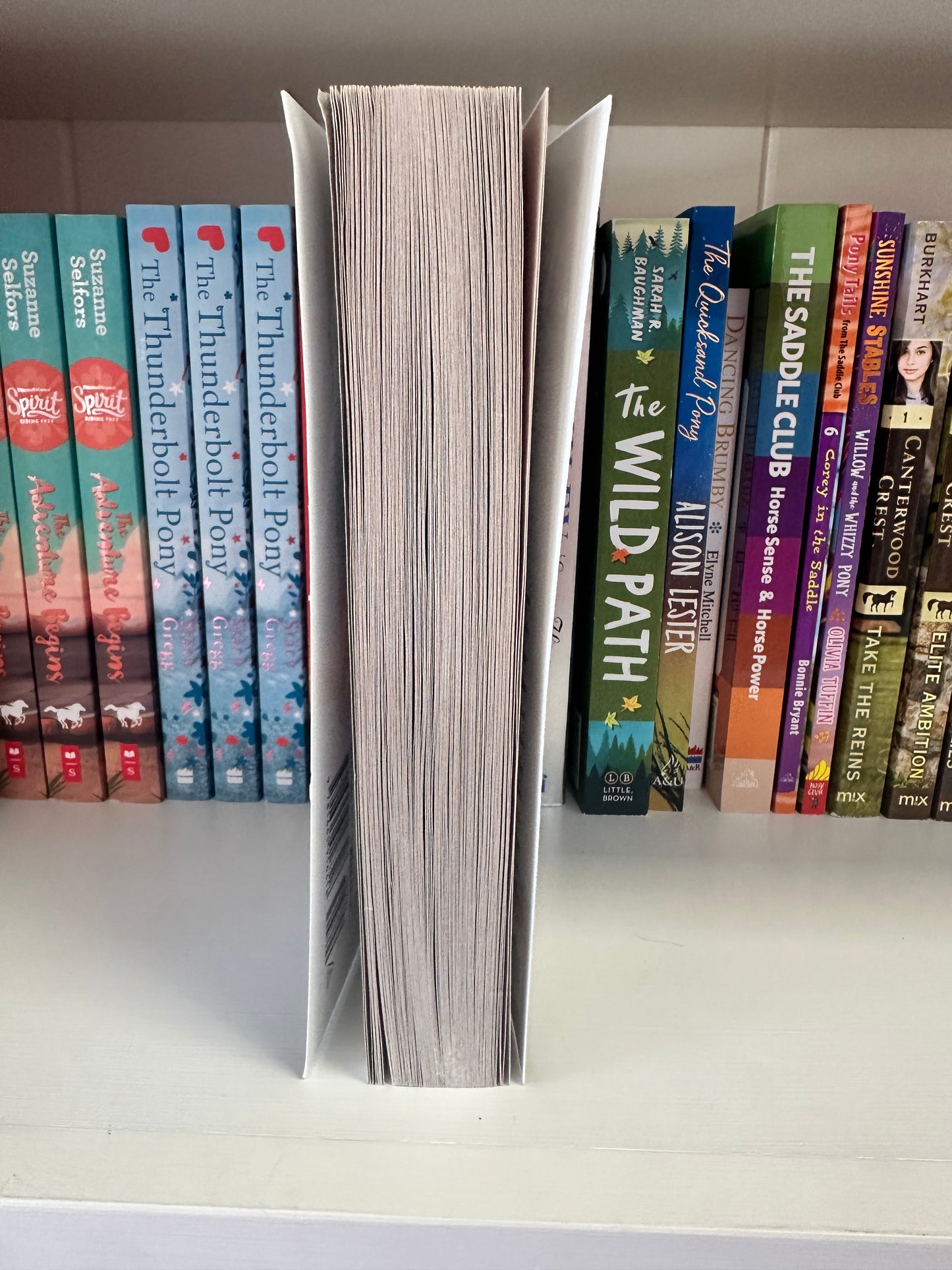Phantom Stallion Book 1 The Wild One Pre-loved