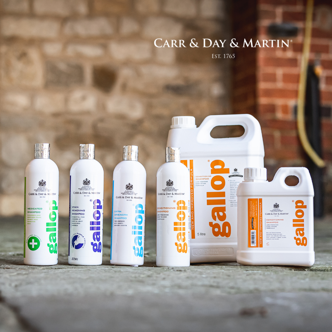 CDM Gallop Stain Removing Shampoo