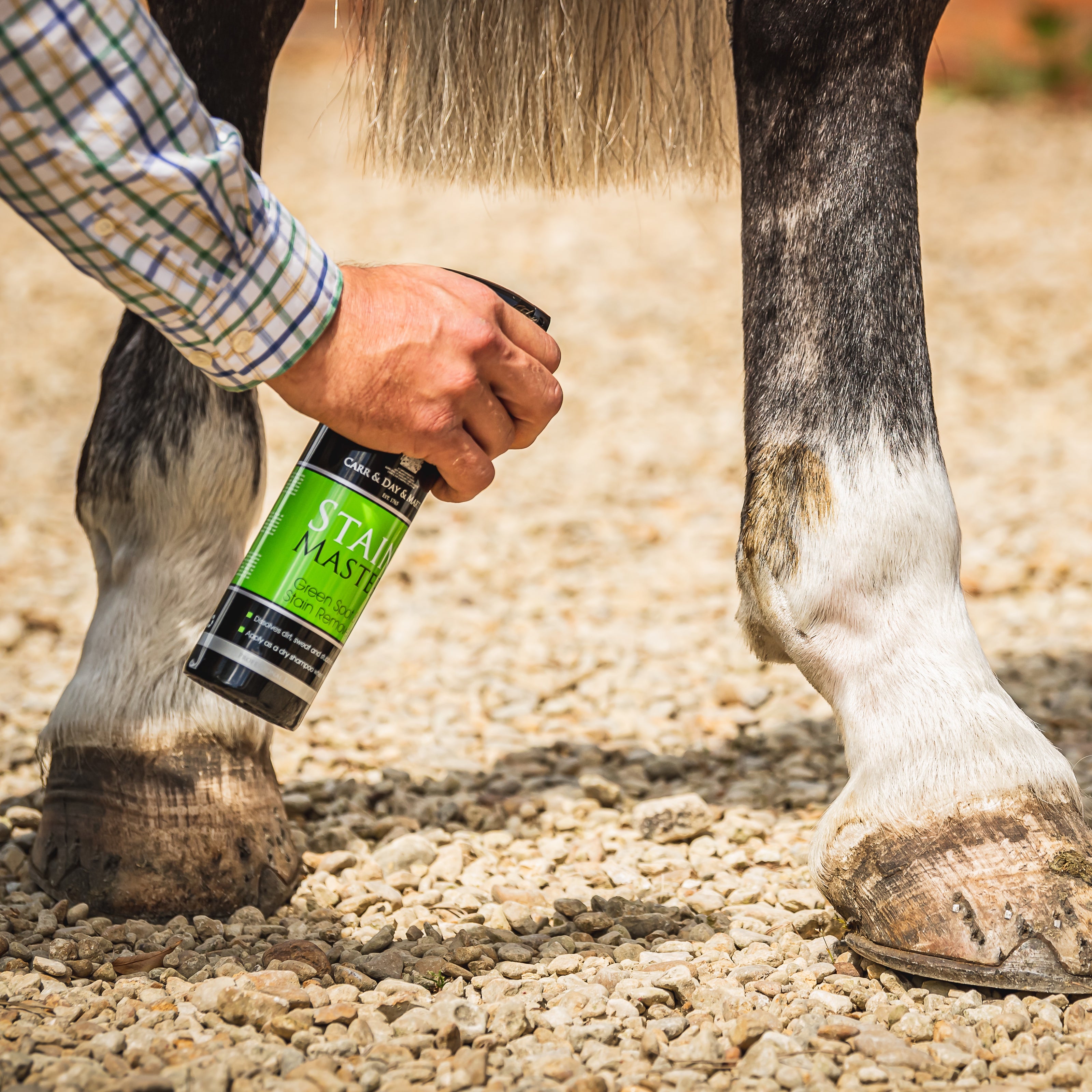 A Mans hand spraying Carr & Day & Martin Spray onto a poo stain on a horses white sock