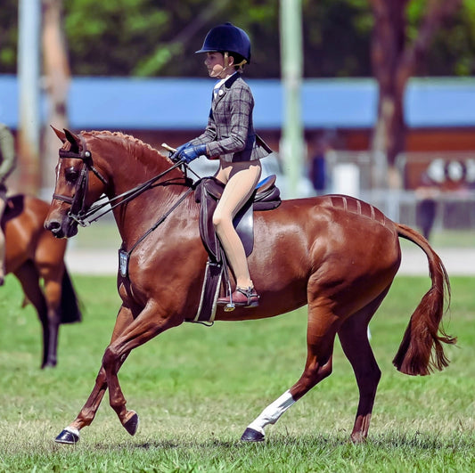 Crown Equestrian Kids Competition Tights