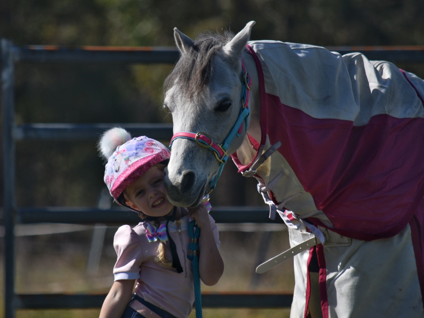 Earlwood Equine Ripstop Mesh Combo