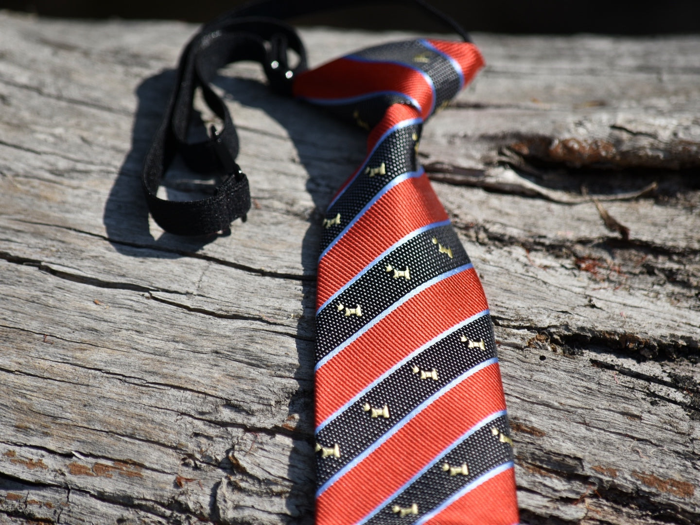 Little Kids Pre-tied Neck Ties