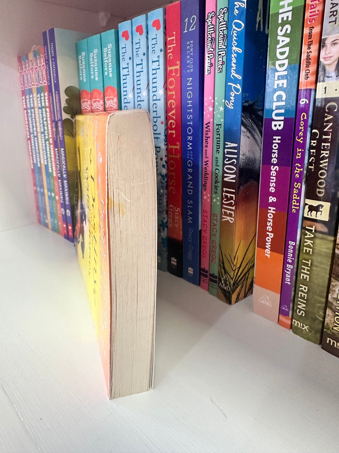 Pony Club Secrets; Destiny & the Wild Horses preloved