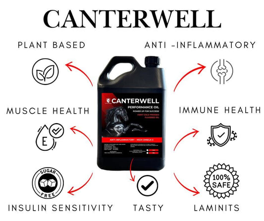 Canterwell First Cold Pressed Flaxseed Performance Oil