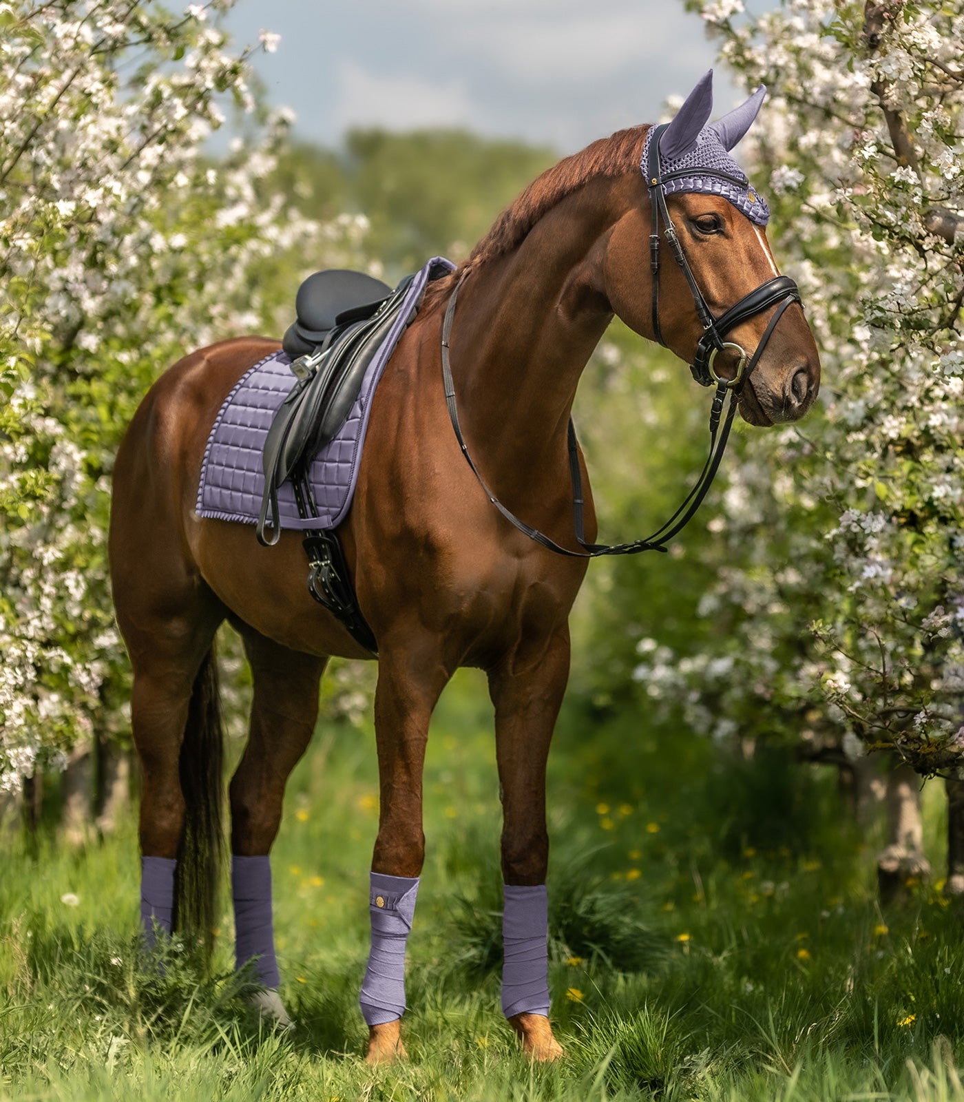 Florence Bonnet Lavender Full