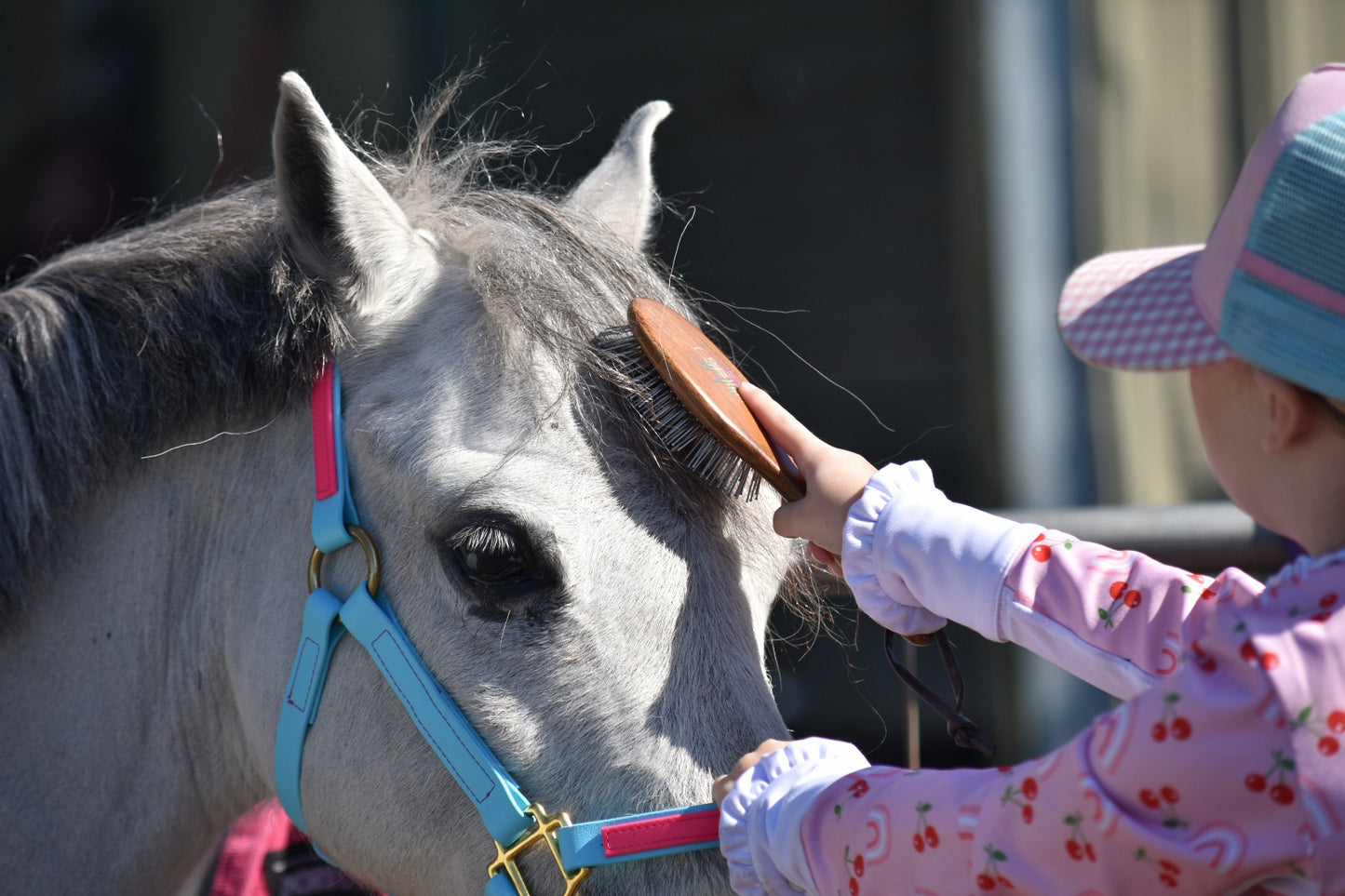 Hairy Pony Mini Mane & Tail Brush