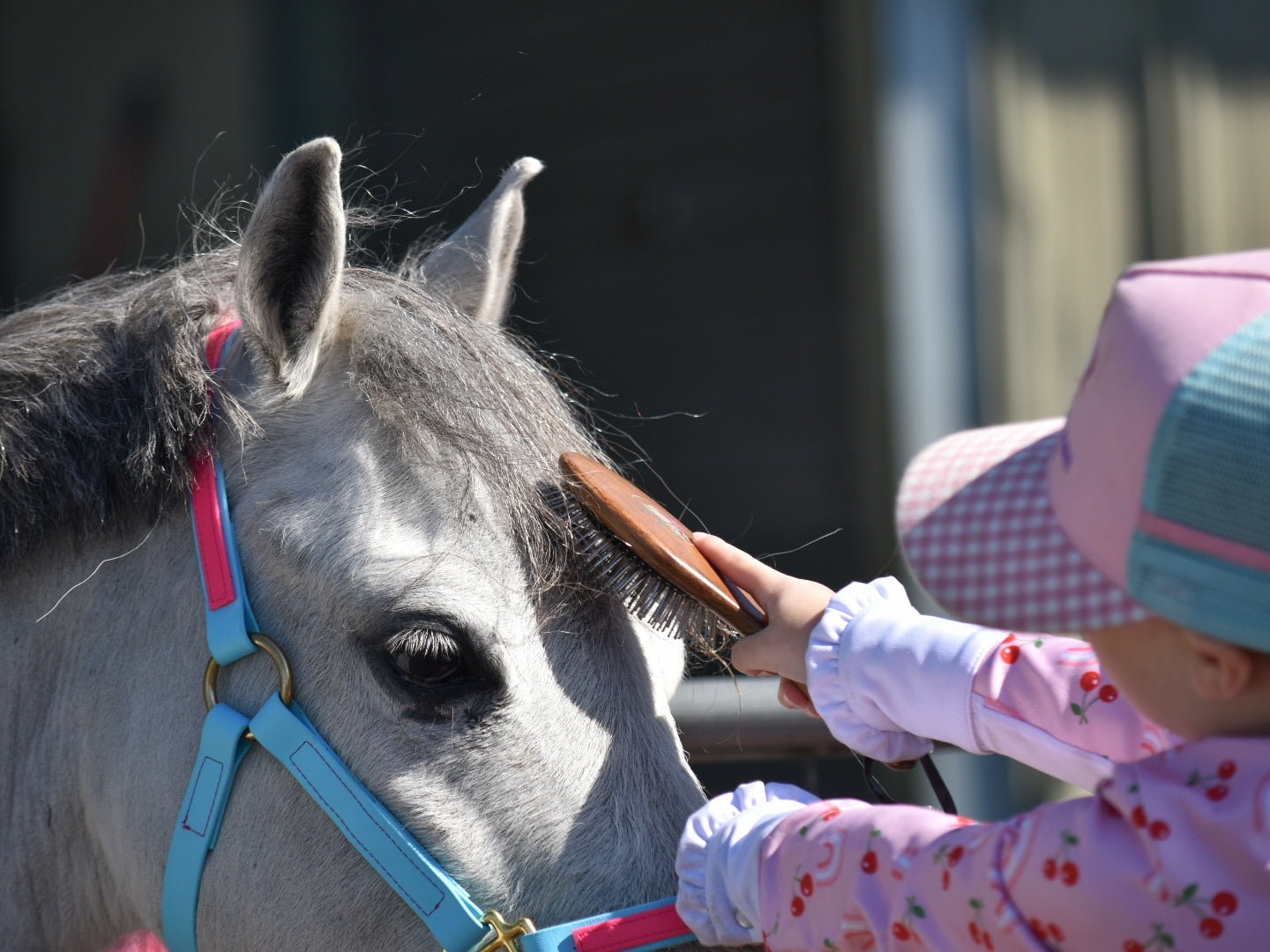 Hairy Pony Mini Mane & Tail Brush