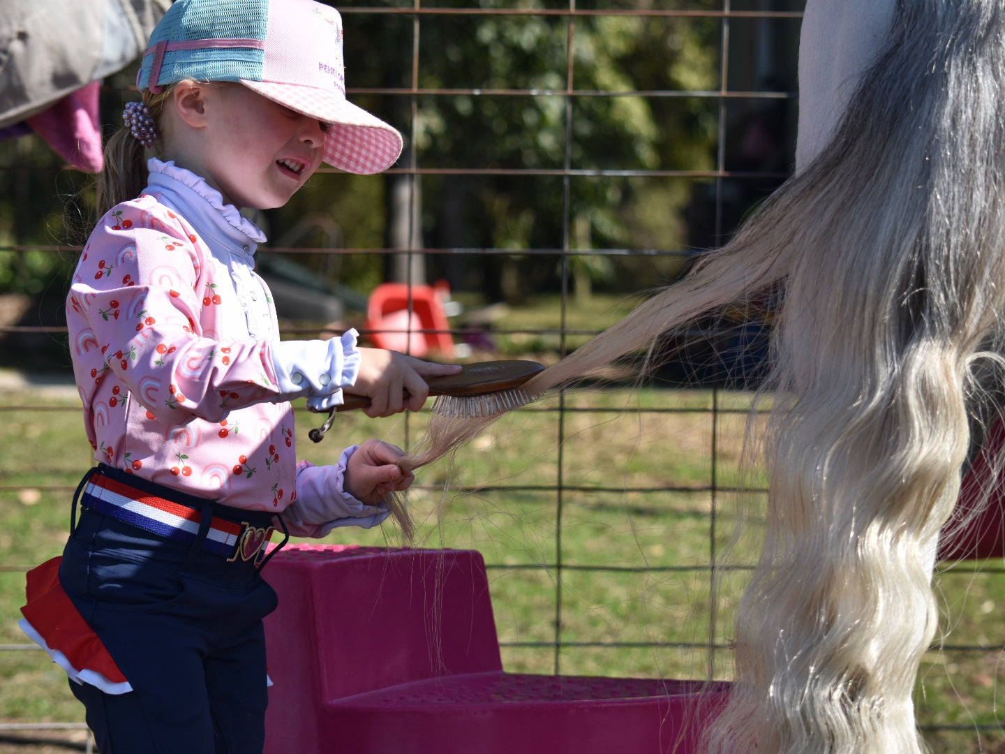 Hairy Pony Mini Mane & Tail Brush