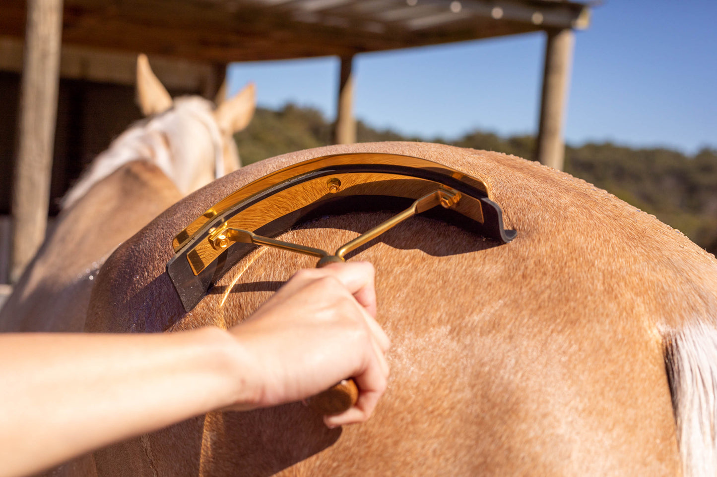 Hairy Pony Luxe Gold Sweat Scraper