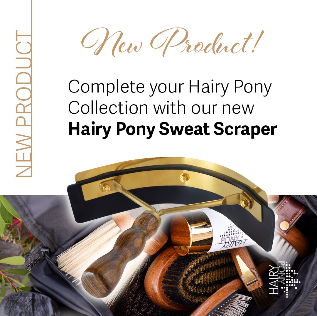 Hairy Pony Luxe Gold Sweat Scraper