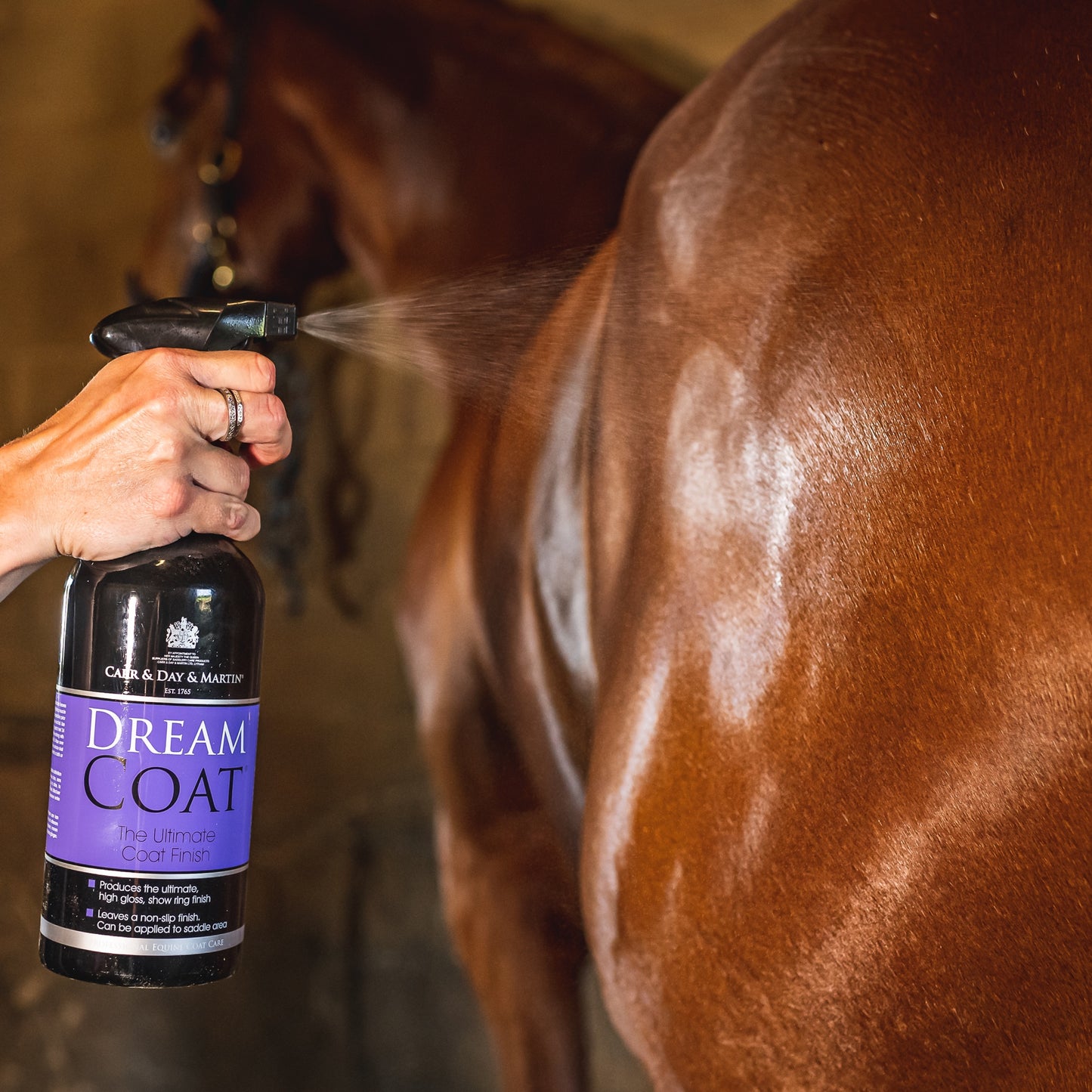 Dream Coat Spray being applied to a horse