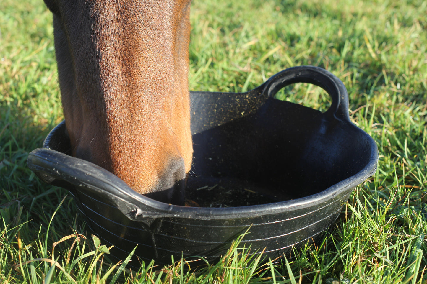 Red Gorilla Tyre Rubber Feed Buckets
