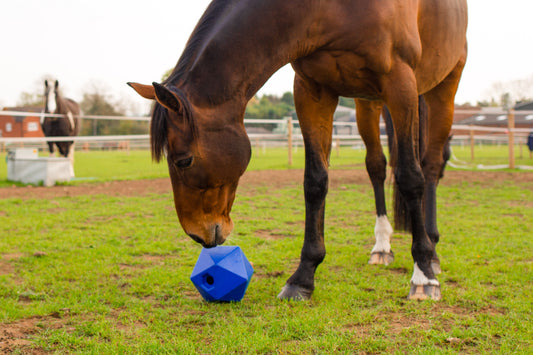 Red Gorilla Drip Feed Horse Ball