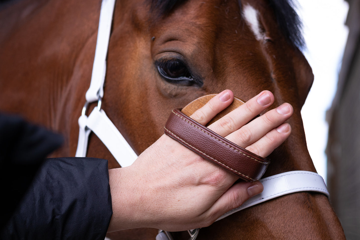 Hairy Pony Face Brush